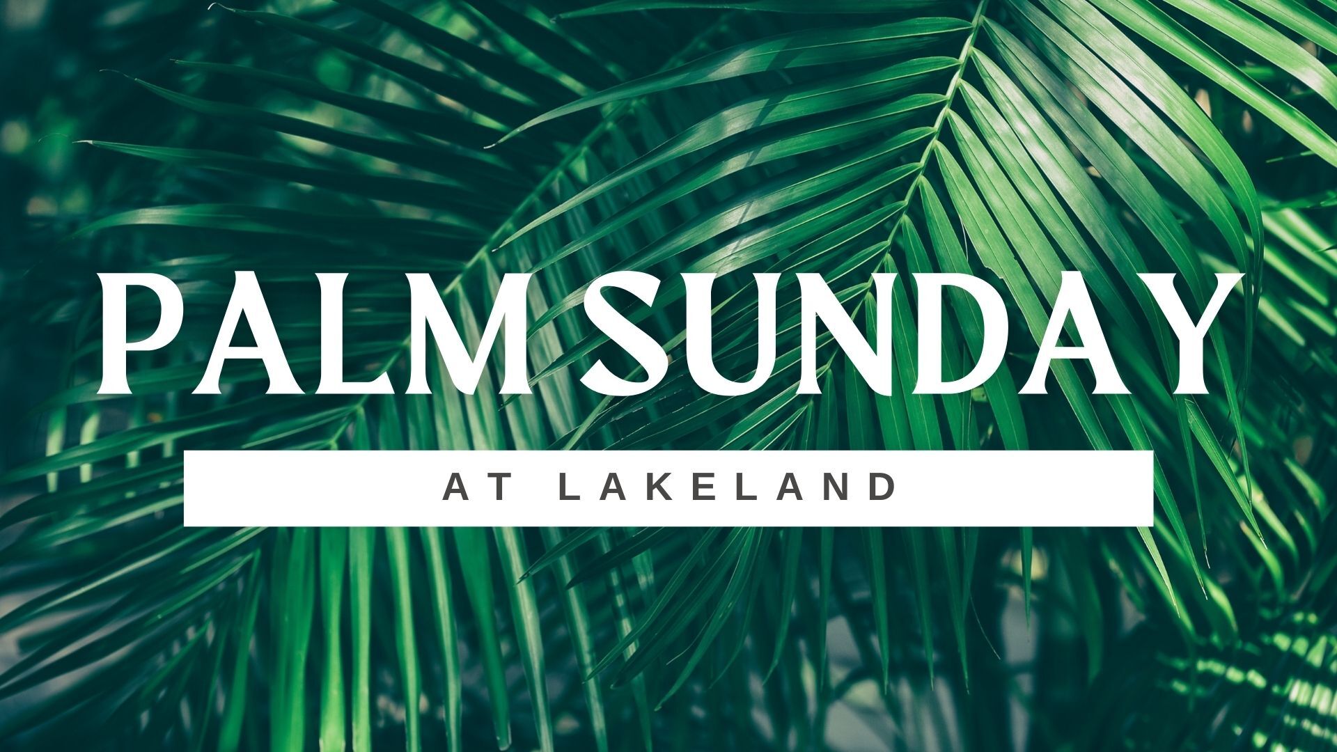 Palm Sunday